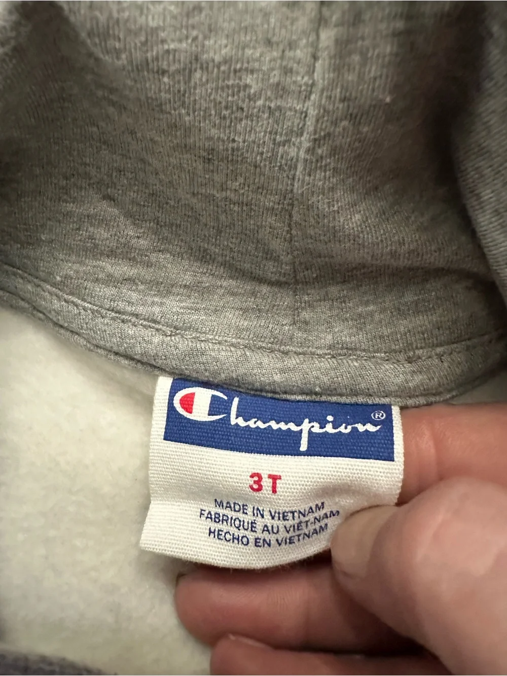 Champion Kids Grey Hoodie with Blue & Red Logo
